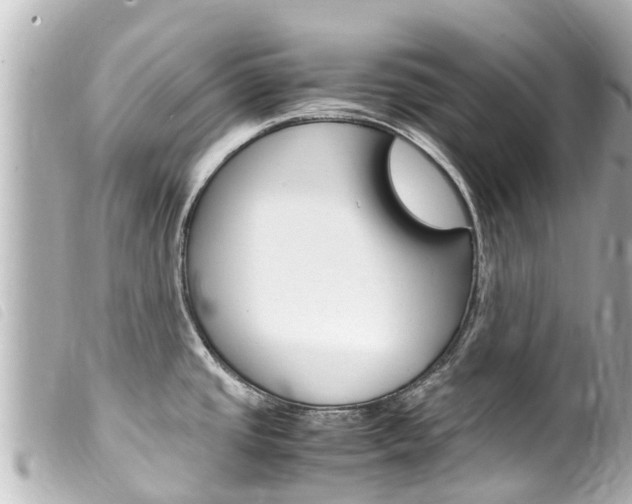 X0000100221437200805300738