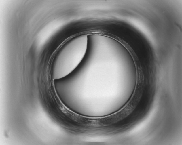 X0000100221438200805300738