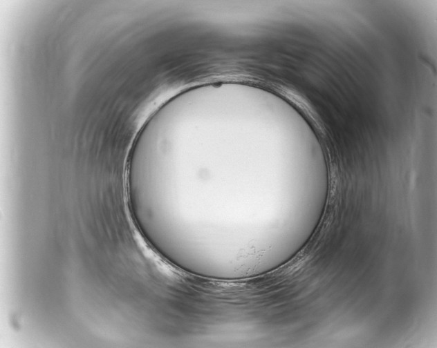X0000100221439200805300738