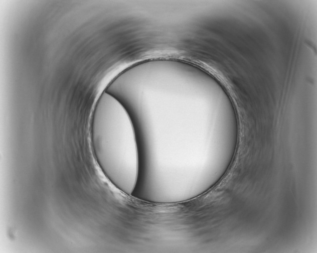 X0000100221440200805300738