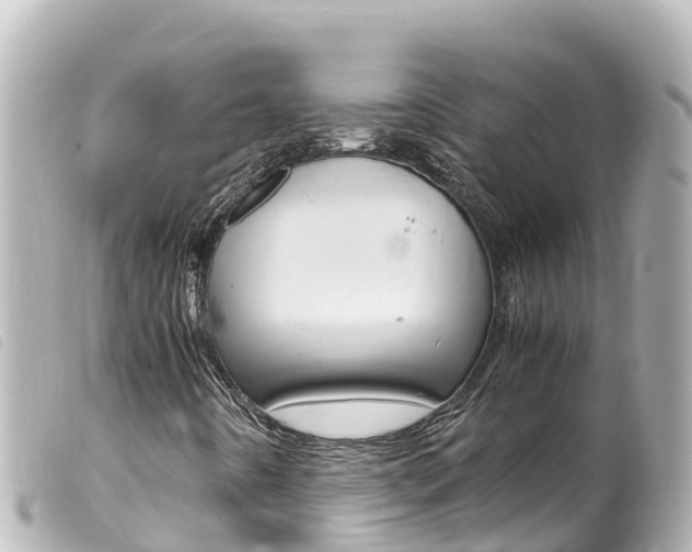 X0000100221442200805300737