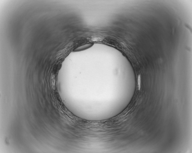 X0000100221443200805300737