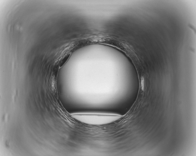 X0000100221444200805300737