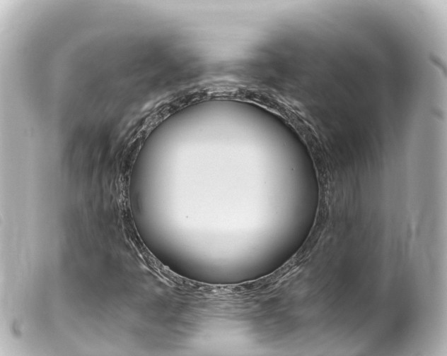 X0000100221445200805300737