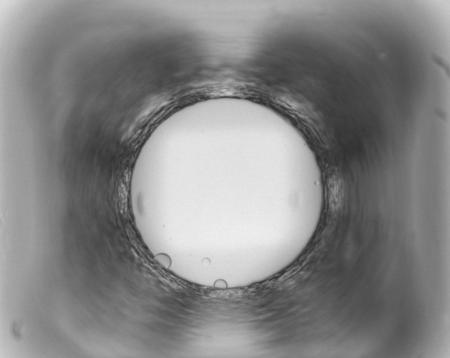 X0000100221446200805300737