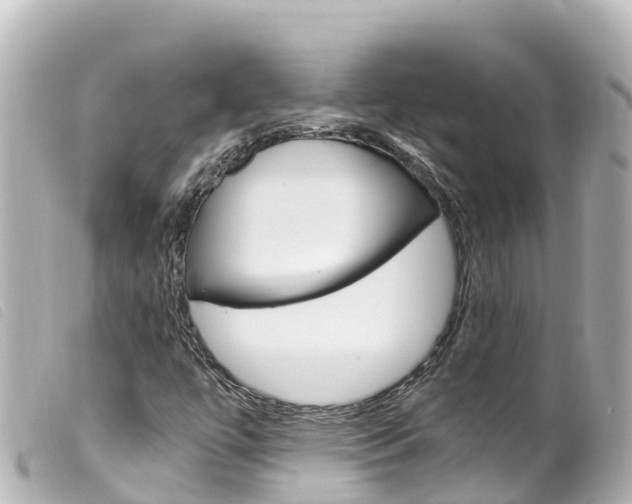 X0000100221447200805300737