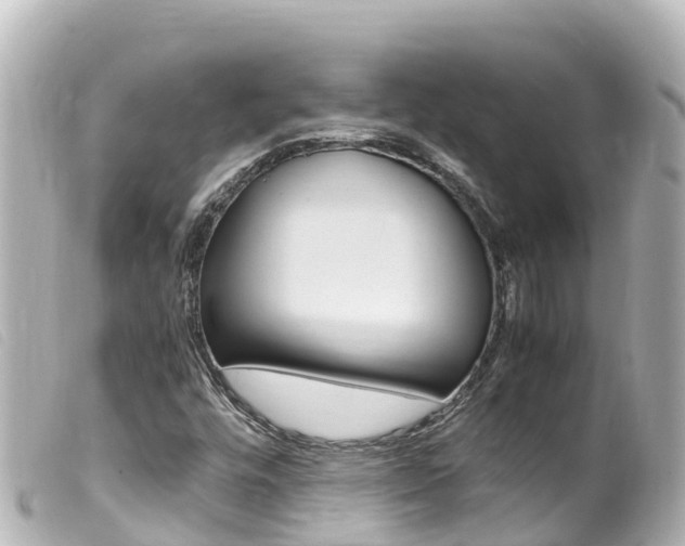 X0000100221448200805300737