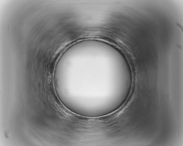 X0000100221449200805300737