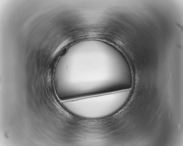 X0000100221450200805300737