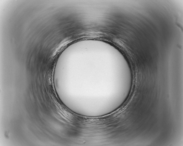 X0000100221451200805300737