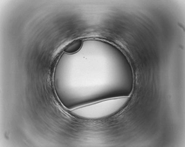 X0000100221452200805300737
