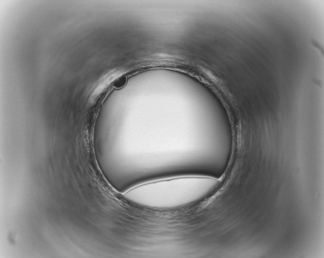 X0000100221453200805300737