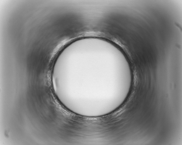 X0000100221454200805300737