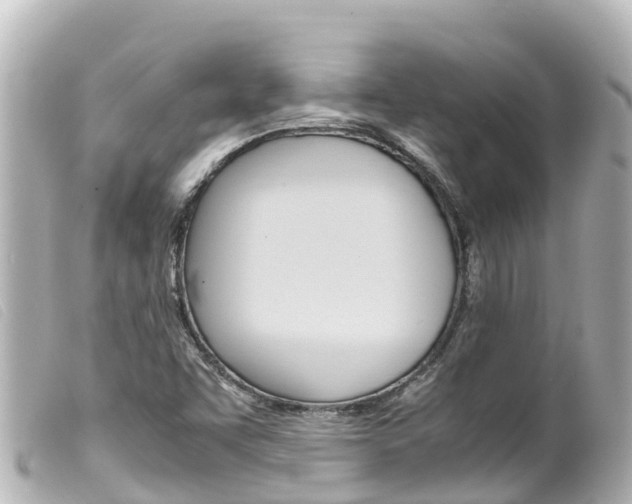 X0000100221455200805300737