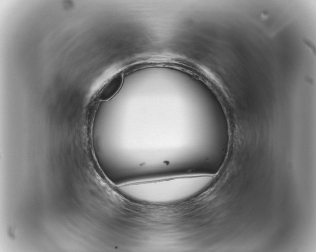X0000100221456200805300737