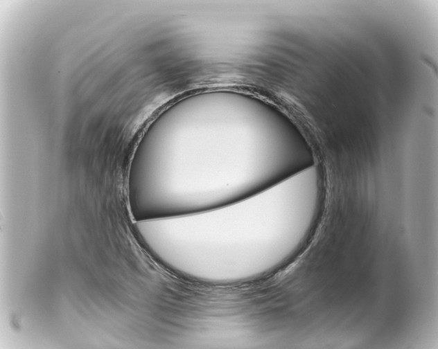 X0000100221457200805300737