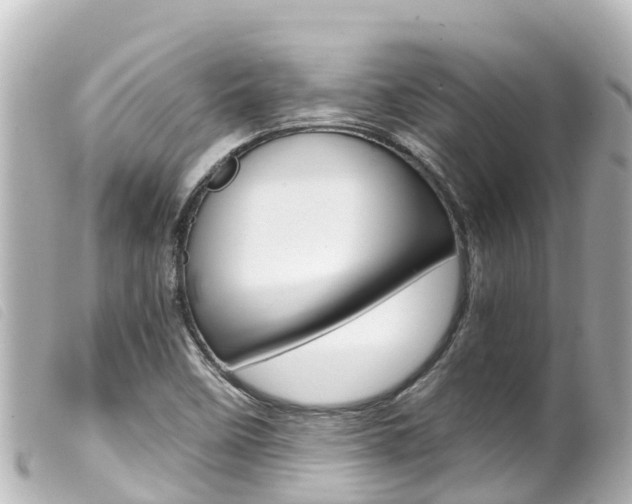 X0000100221458200805300737