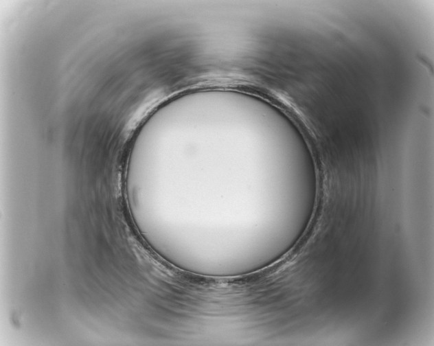 X0000100221459200805300737