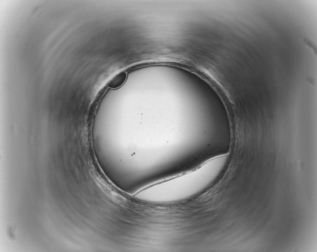 X0000100221460200805300737