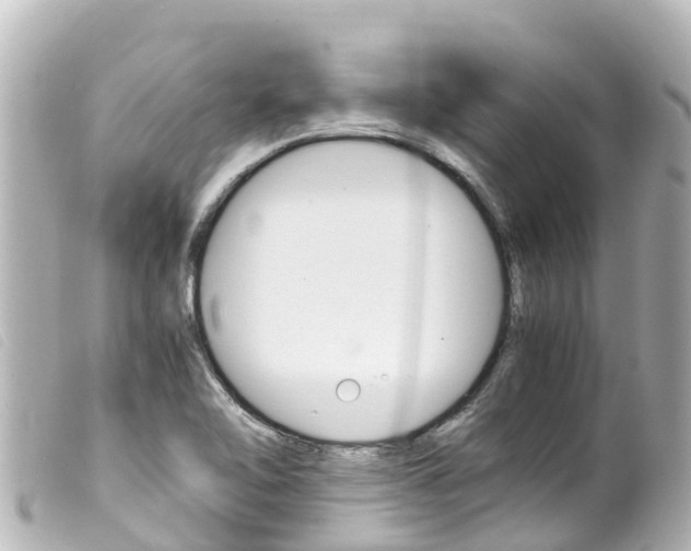 X0000100221462200805300737