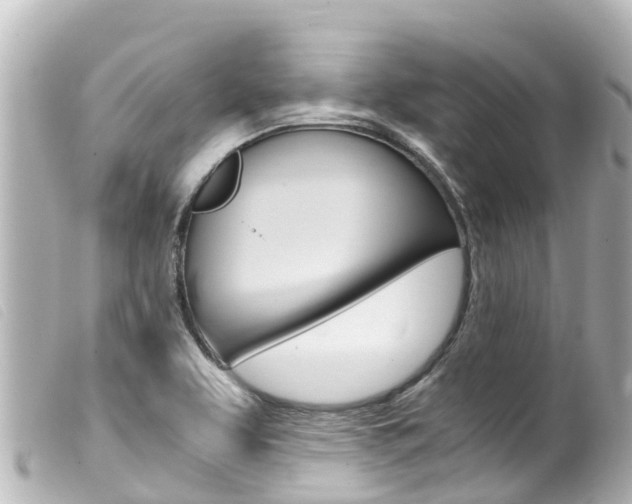X0000100221463200805300737