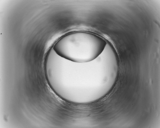 X0000100221464200805300737