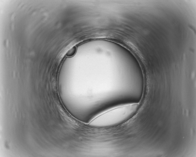X0000100221465200805300737