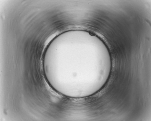 X0000100221466200805300737
