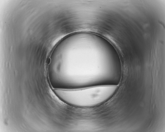 X0000100221468200805300737