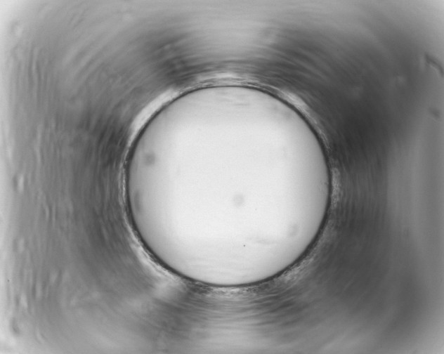 X0000100221474200805300737