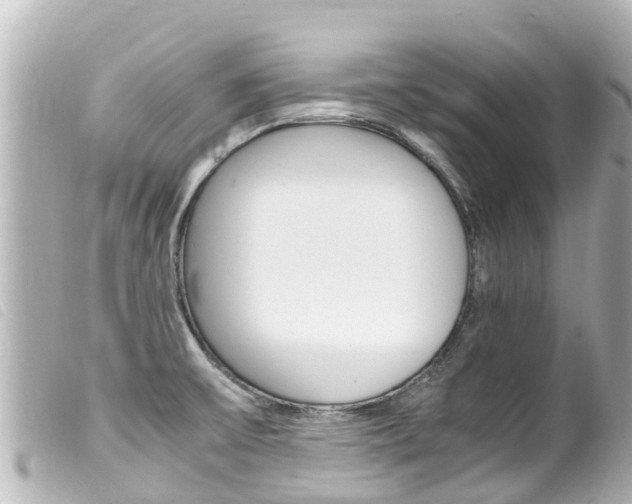 X0000100221475200805300737
