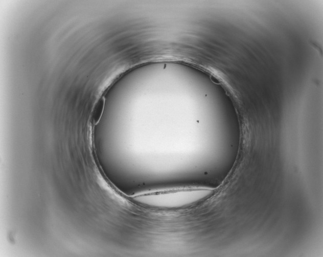 X0000100221476200805300737