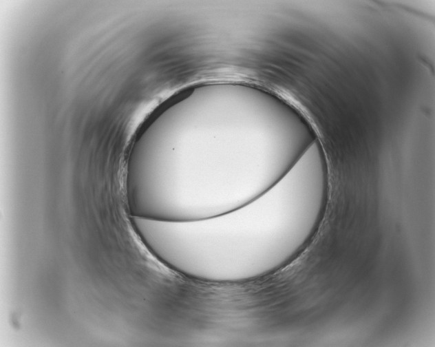 X0000100221477200805300737