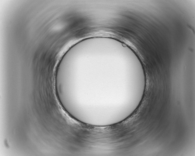 X0000100221478200805300737