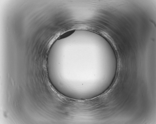 X0000100221481200805300737