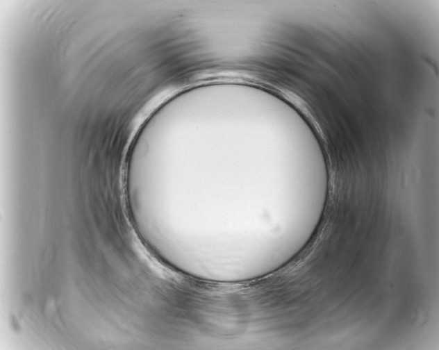 X0000100221482200805300737