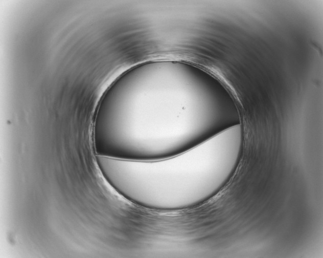 X0000100221484200805300737