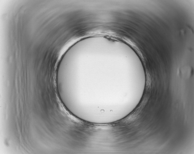 X0000100221486200805300737