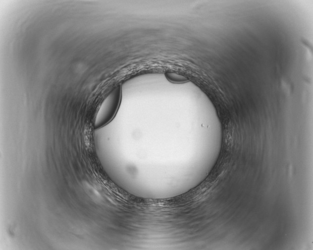 X0000100221490200805300736