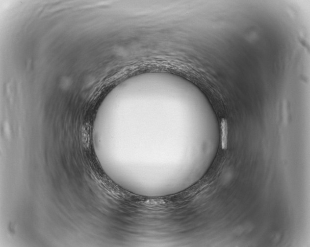 X0000100221491200805300736
