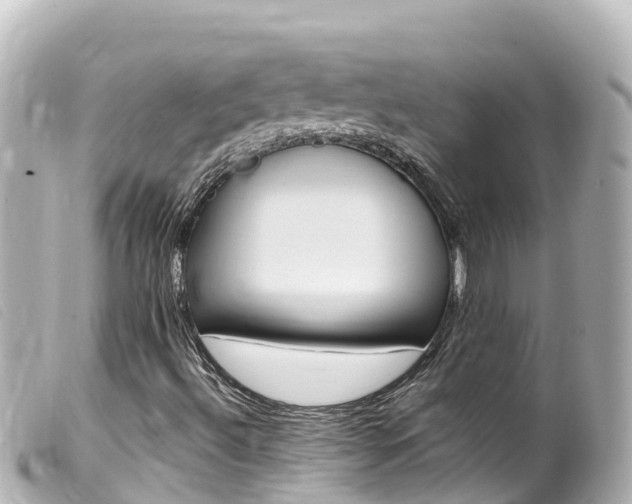 X0000100221492200805300736