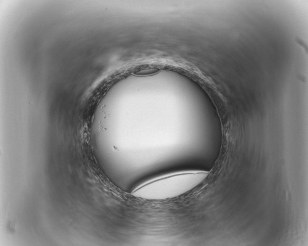 X0000100221495200805300736