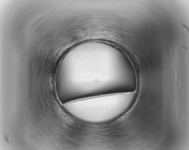 X0000100221497200805300736