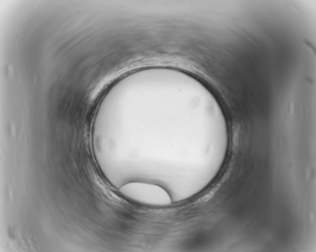 X0000100221498200805300736