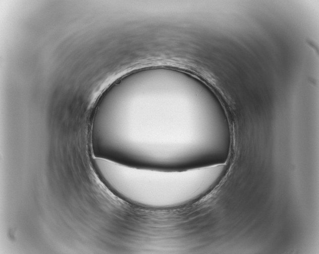 X0000100221500200805300736