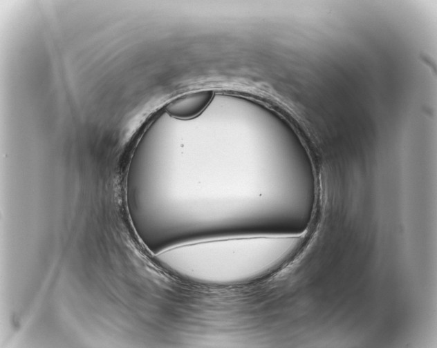 X0000100221501200805300736