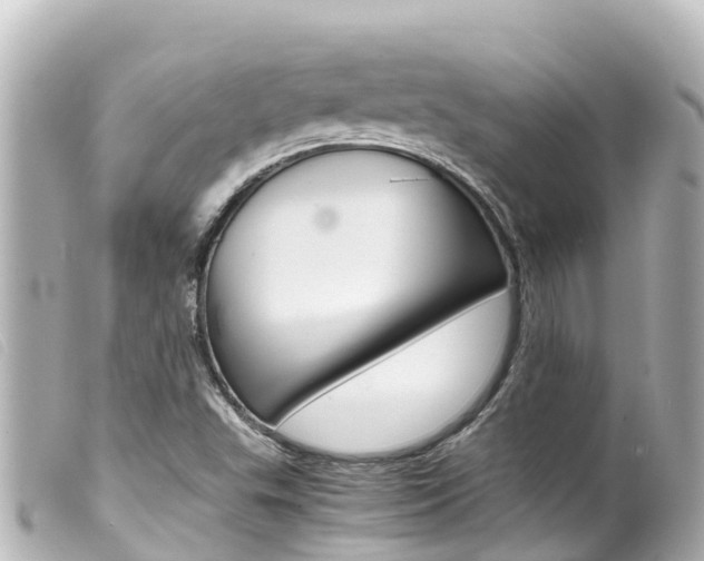 X0000100221503200805300736