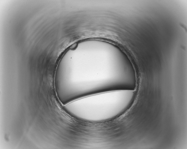 X0000100221505200805300736