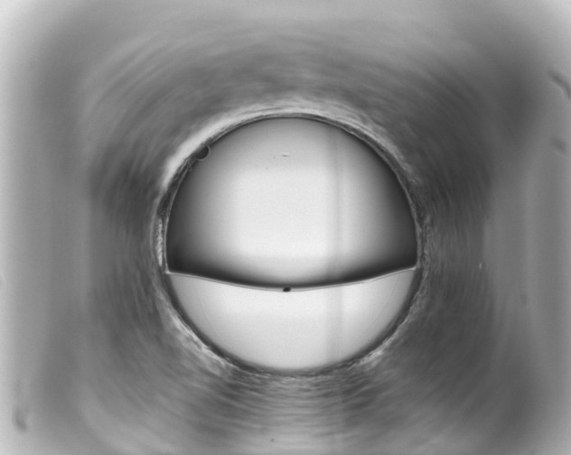 X0000100221510200805300736