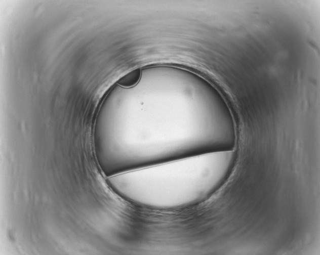 X0000100221513200805300736